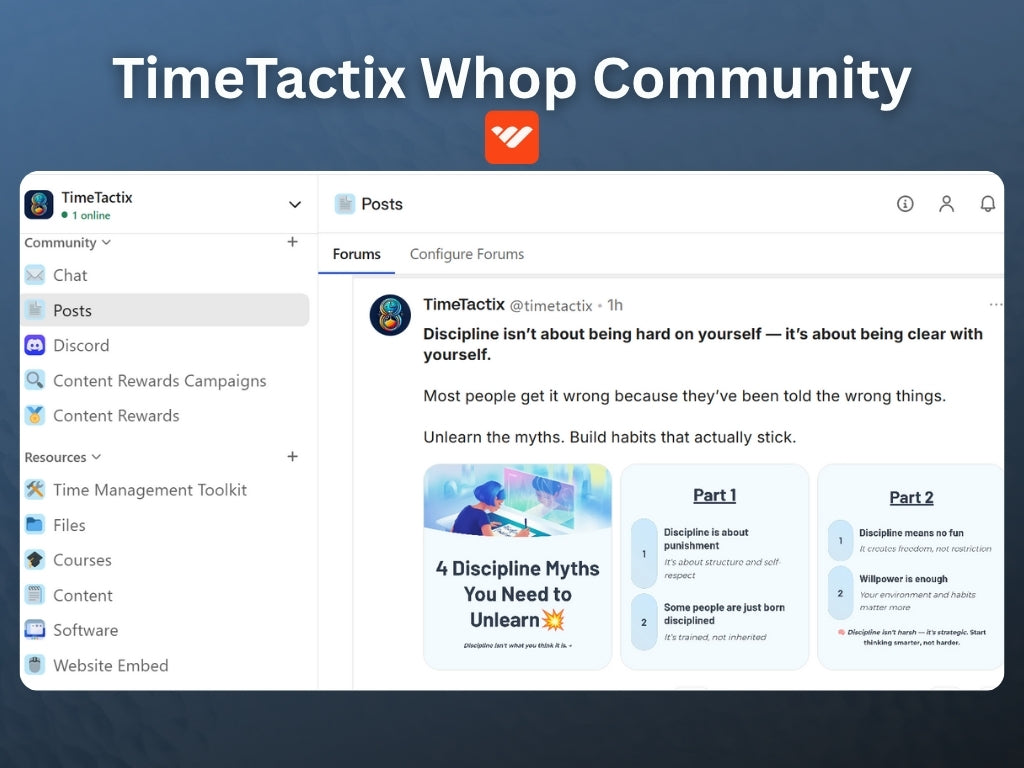 The TimeTactix Ecosystem